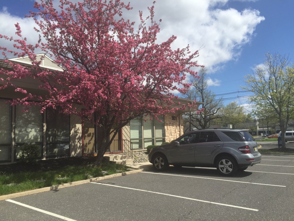 Greentree Commons Property Image