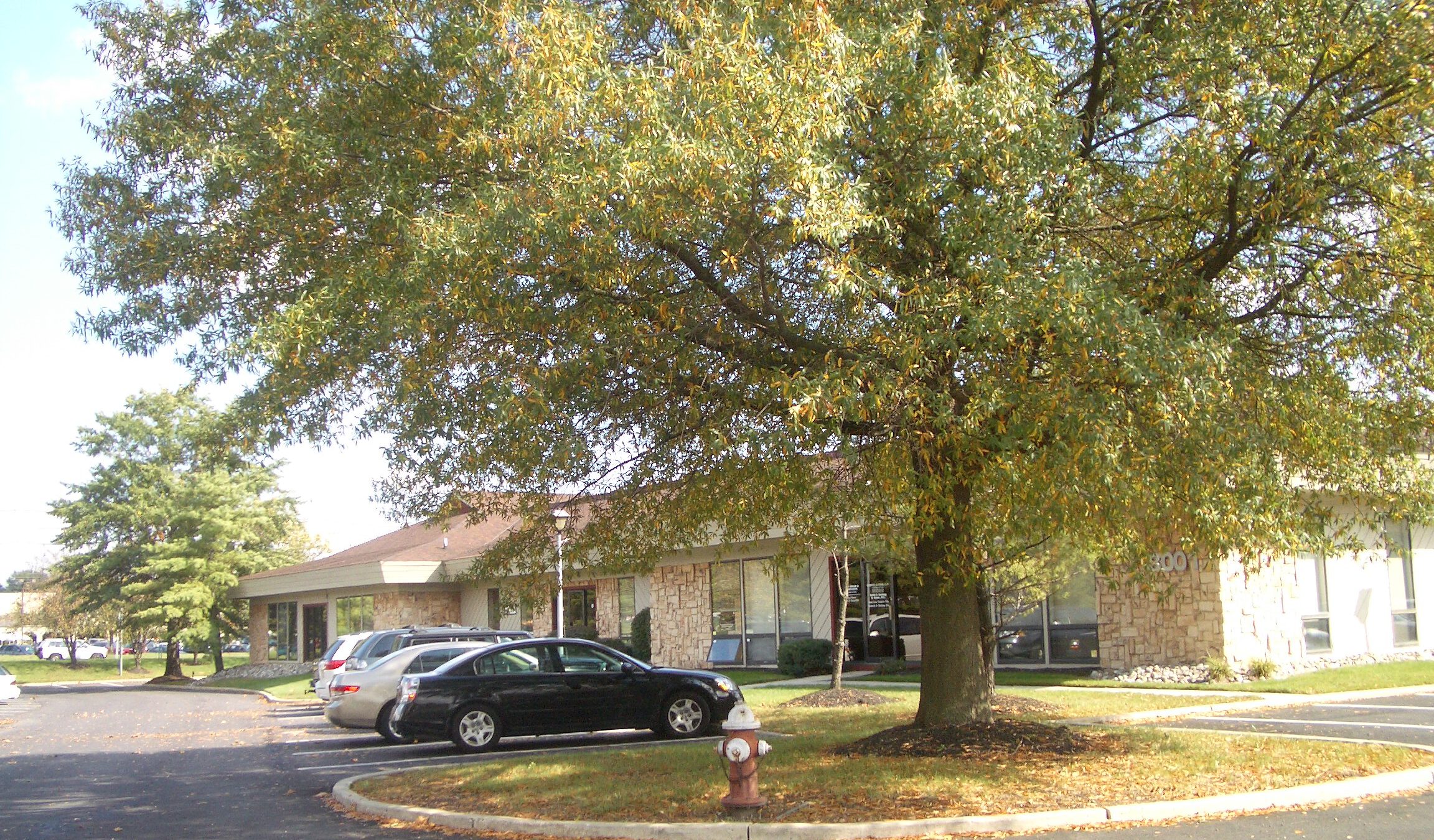 Greentree Commons