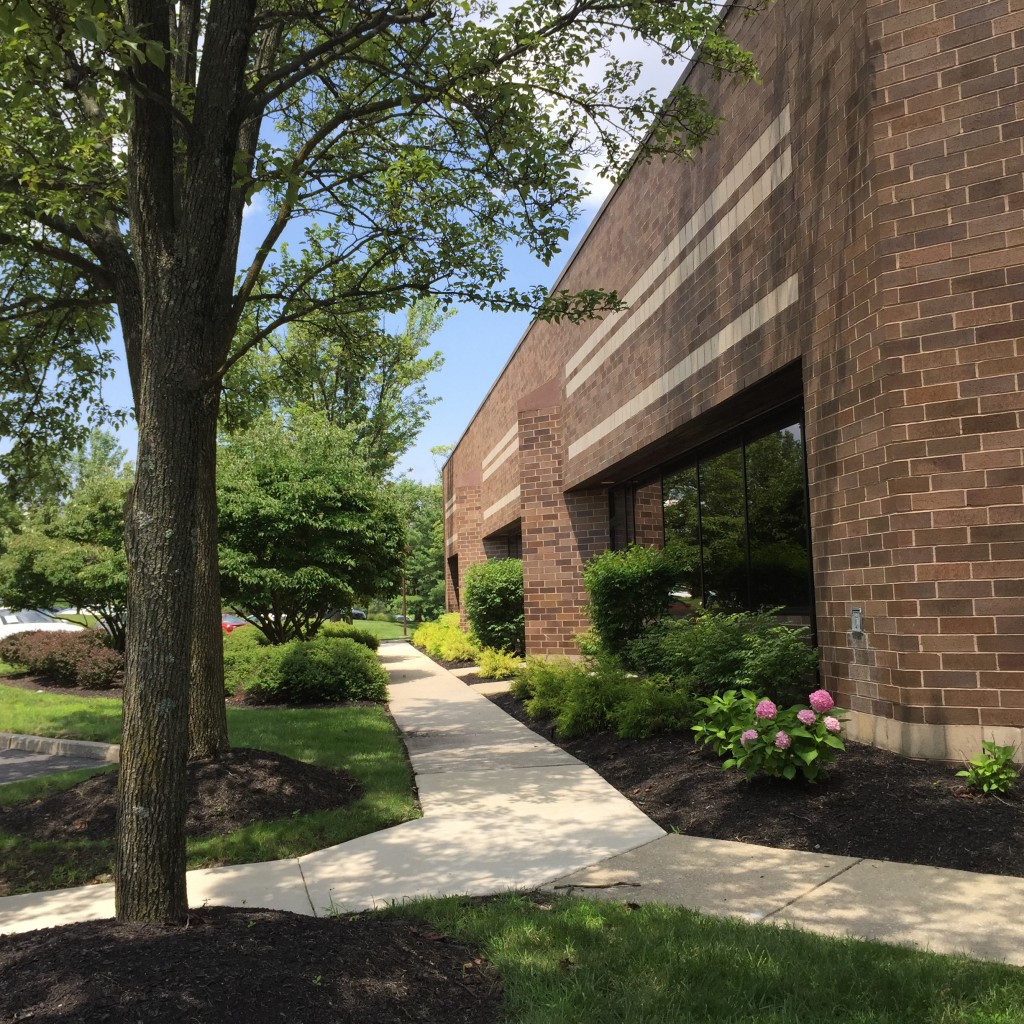9 Eves Drive